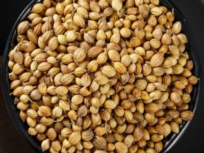 香菜子芫荽籽胡荽籽香籽中药材 500