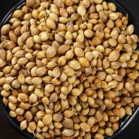 香菜子芫荽籽胡荽籽香籽中药材 500克