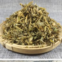 灯盏花500g纯新货云南 灯盏细辛灯盏花灯盏草非野生中药材粉