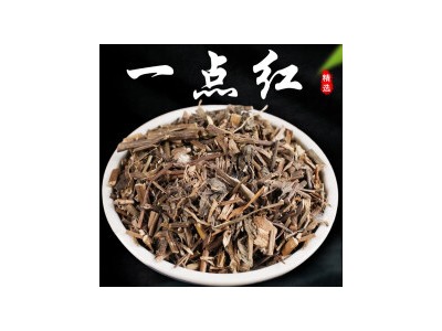 正宗一点红500g精选中药材 新鲜晒干