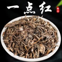 正宗一点红500g精选中药材 新鲜晒干 红背叶羊蹄草红头草叶下红中草药 500g