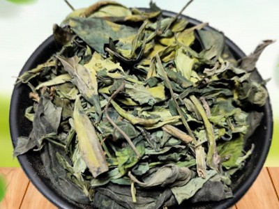 穿心莲叶 500g 一见喜 四方莲 苦胆