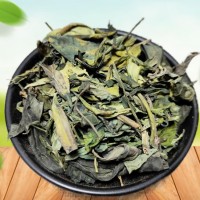 穿心莲叶 500g 一见喜 四方莲 苦胆草 金香草新鲜干货
